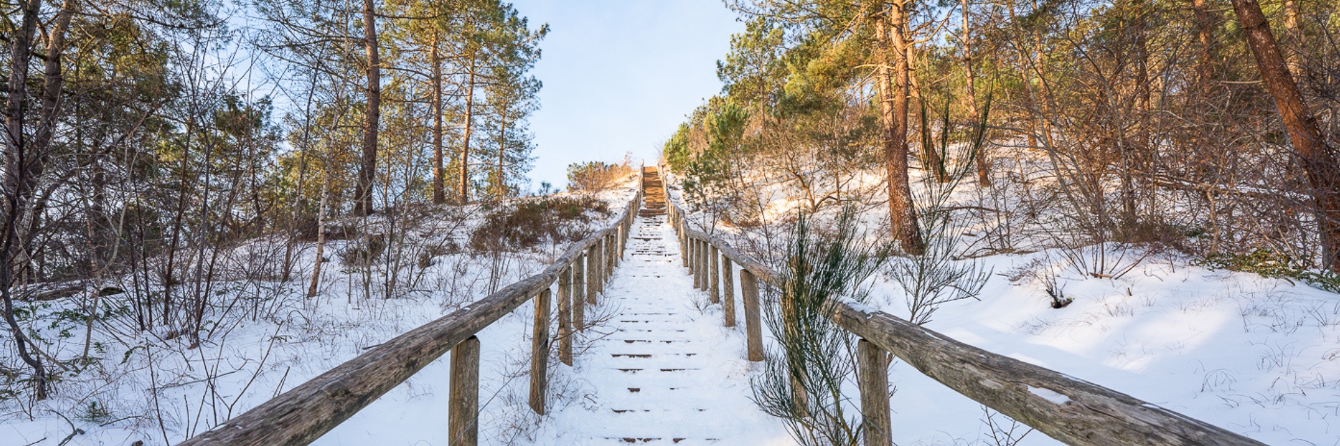 trap op de Schoorlse duinen onder gesneeuwd